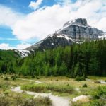 Alberta’s Crown Land Vision – Share Your Opinions